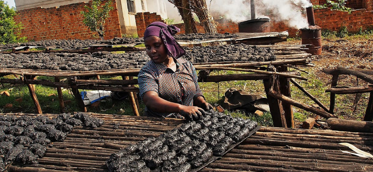 Afrika igazi „fekete aranya” óriási biznisz, de sokszorosan megfizetünk érte
