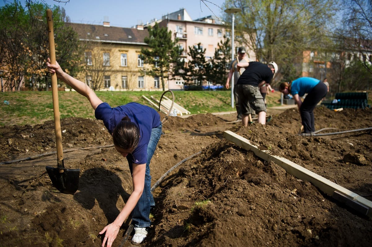 Nem akarja támogatni a közösségi kerteket a kormány