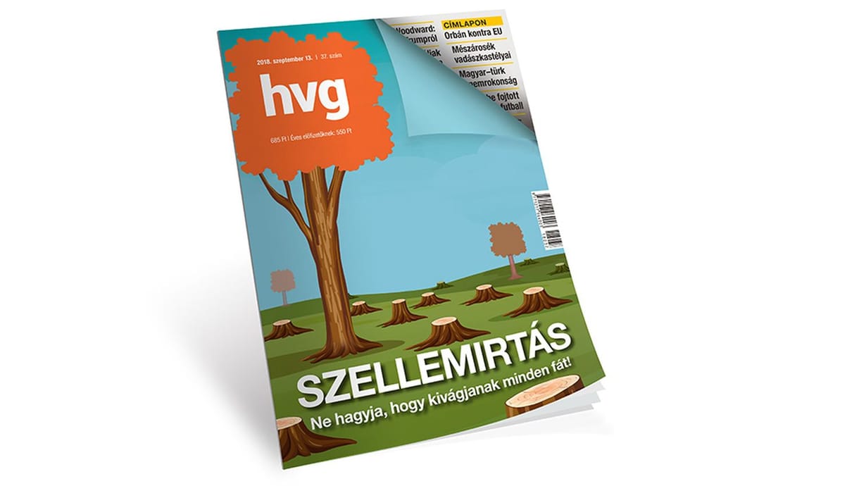 Nagy Iván Zsolt: Helyzet van