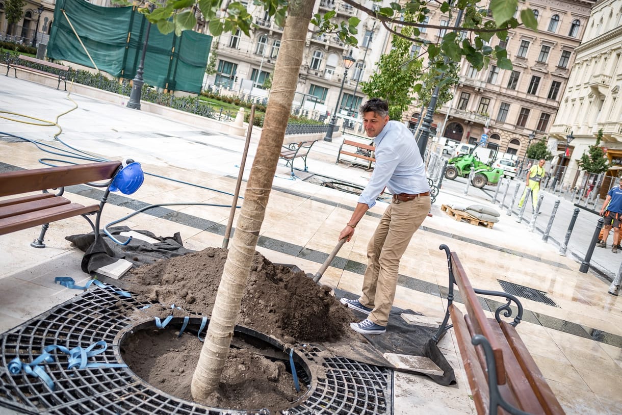 Budapest megvehette volna, de elkótyavetyélte az ingatlanokat a fideszes polgármester