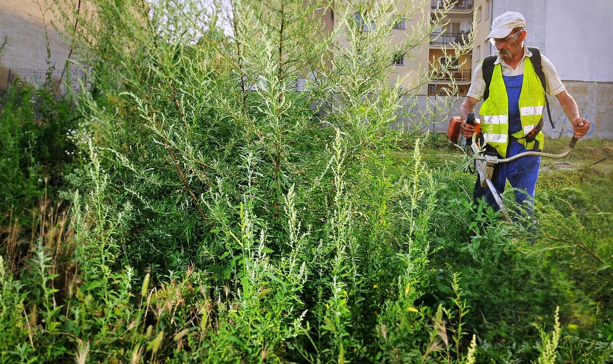 30 ezerrel több embernek lett állása