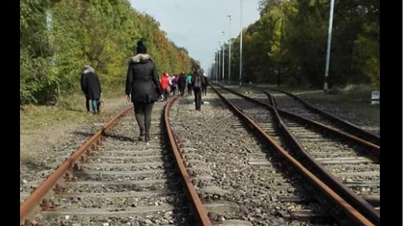 Migránsoknak néztek egy Erasmus-diákcsoportot a déli határnál, rendőrt hívtak rájuk