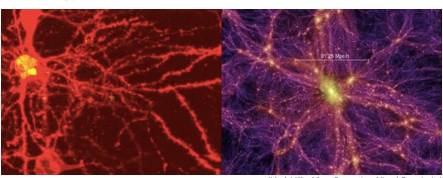 Meglepő a hasonlóság az emberi agy és a galaxisok hálózata között