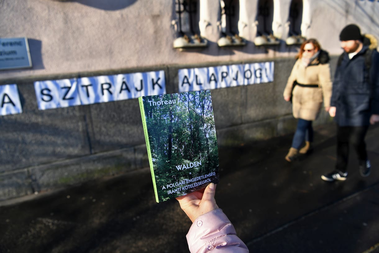 Tanárszakos egyetemisták százai álltak ki a sztrájkjogért harcoló pedagógusok mellett