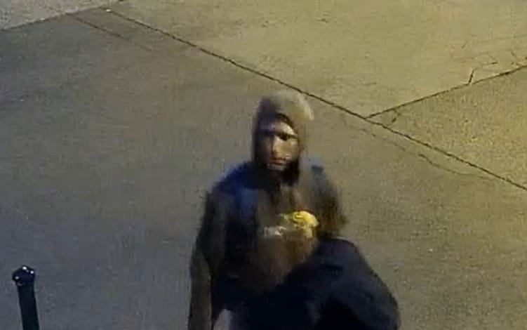Keresik az angyalföldi szatírt – videó!