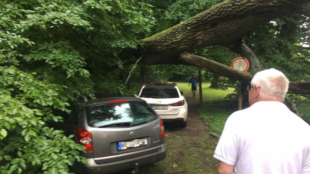Ez az autó az éjjeli vihar legszerencsésebb túlélője: karnyújtásnyira landolt tőle egy méretes fa - fotók