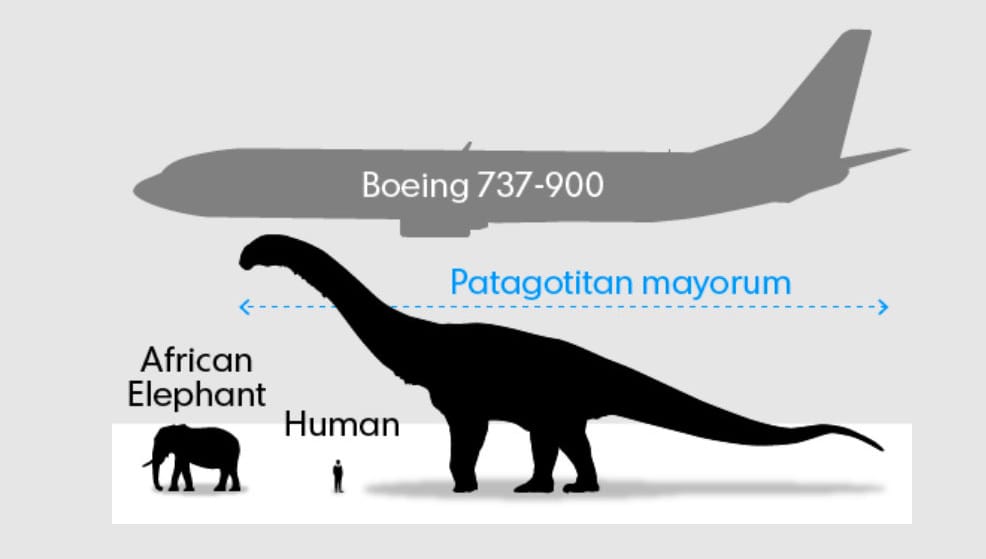 Költözik a világ legnagyobb dinoszaurusza