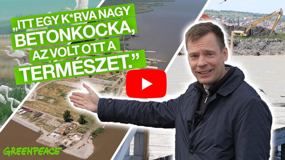 Litkai Gergely fertői tárlatvezetése: „A halott állat a jó állat”