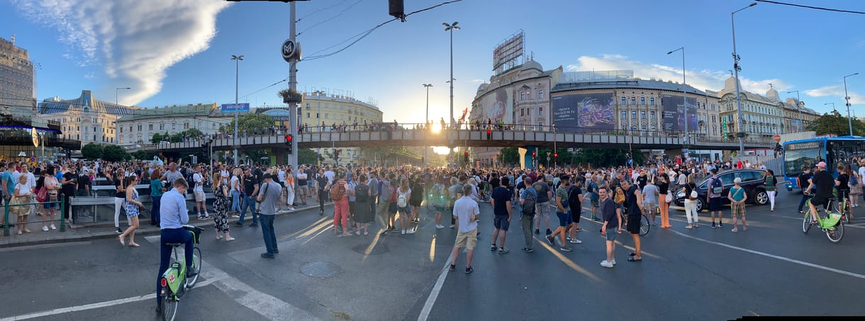 Három új zebrát kapott a Nyugati tér