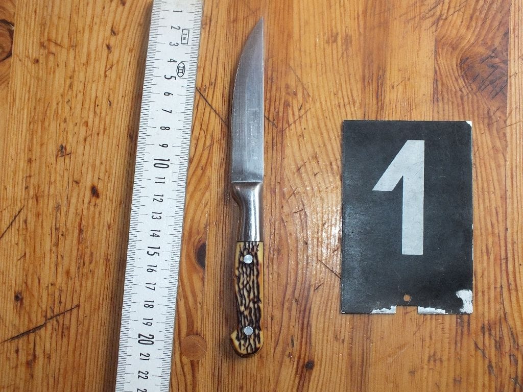 41 éves fiát bántalmazta egy asszony Dunakeszin