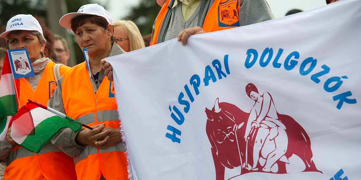 Több százan tüntettek a kapuvári húsgyár előtt