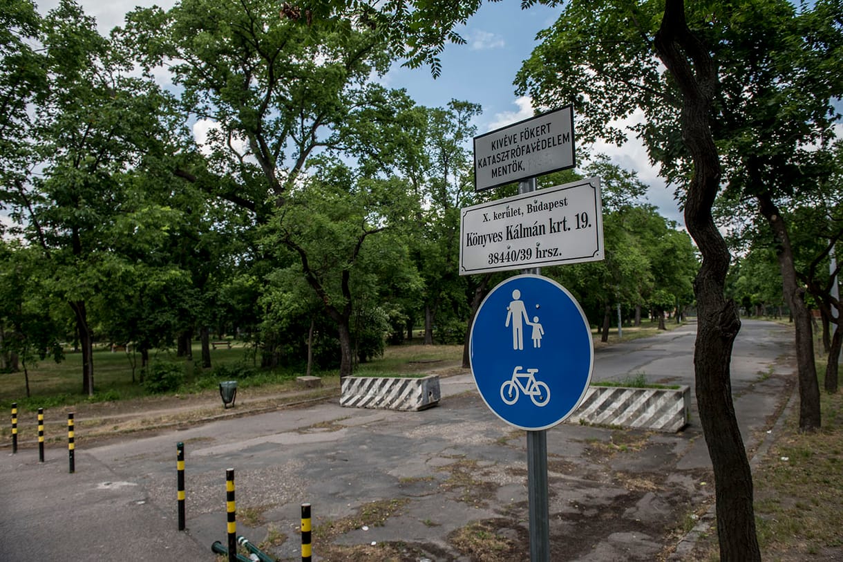 Elkezdődik a Népliget felújítása