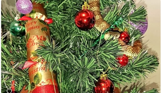 Mérges kígyó tekergett egy nő karácsonyfáján Ausztráliában – fotó