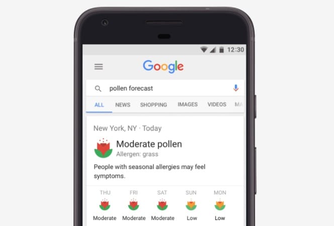 A Google ezúttal az allergiásoknak szolgál némi jó hírrel