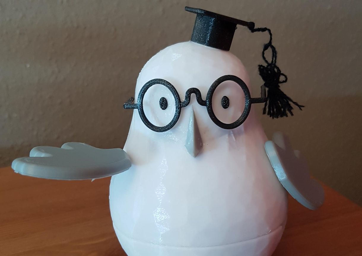 Robotot alkotott és J.K. Rowling könyvét illusztrálta a 12 éves székesfehérvári lány