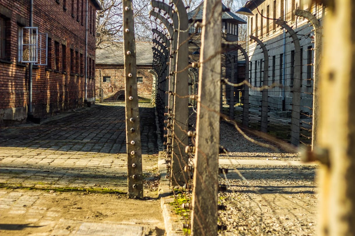 Margaritisz Szhinasz: Auschwitz, az emlékezésen túl
