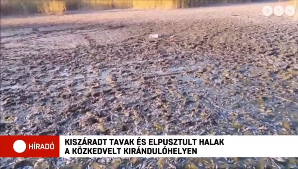 Teljesen kiszáradt több tó Debrecen közelében