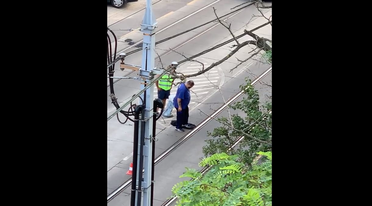 Ha nem látja, nem hiszi el: lábbal aszfaltoztak le egy úthibát Budapesten – videó