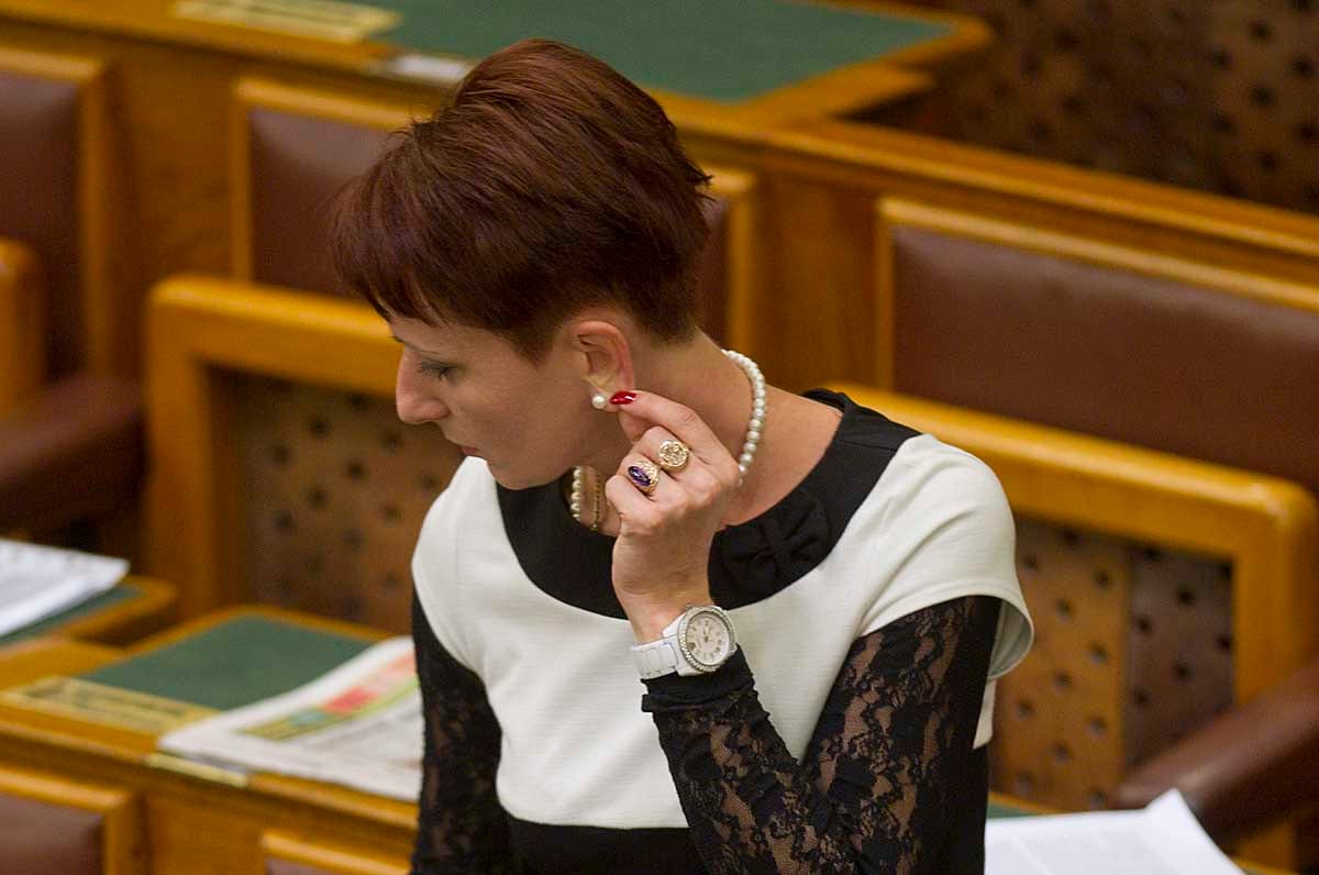 Felállt a pedagógus kar, győri gimnáziumi igazgató az elnök