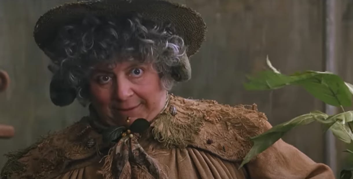 Bimba professzor a felnőtt Harry Potter-rajongóknak: Ideje túllépni rajta