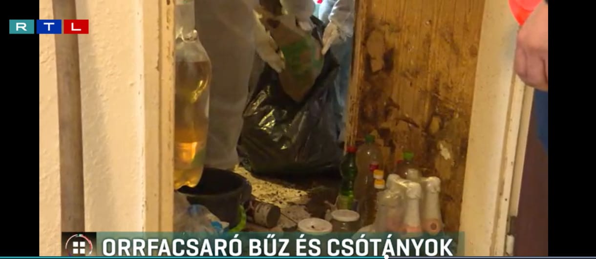 Orrfacsaró bűz, rohangáló csótányok - áldatlan állapotok uralkodnak egy lakó miatt az egri társasházban