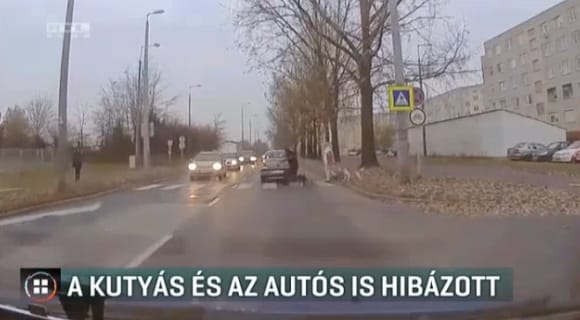 Botot hajítottak egy kocsi után, mert nem állt meg a zebránál, és majdnem kutyát gázolt – videó