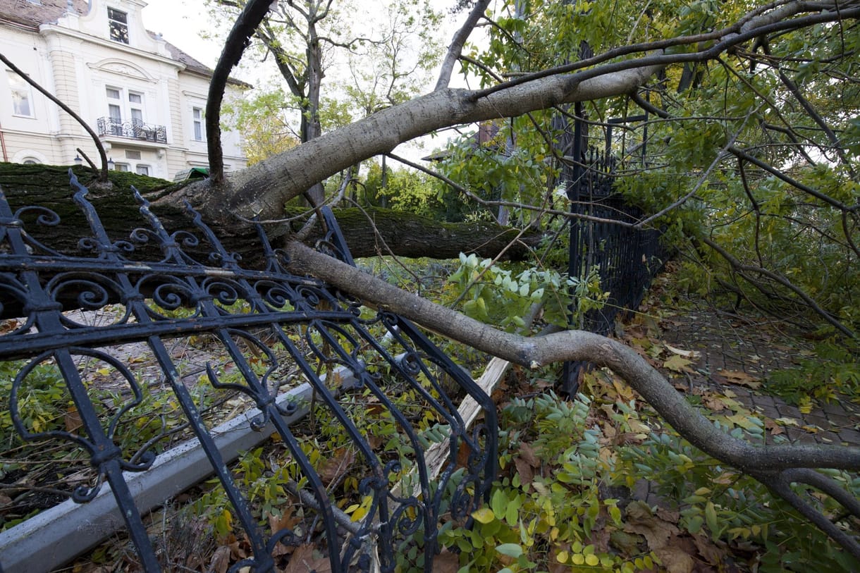 Vasárnap erős szél, hétfőn hidegfront és vihar érkezik