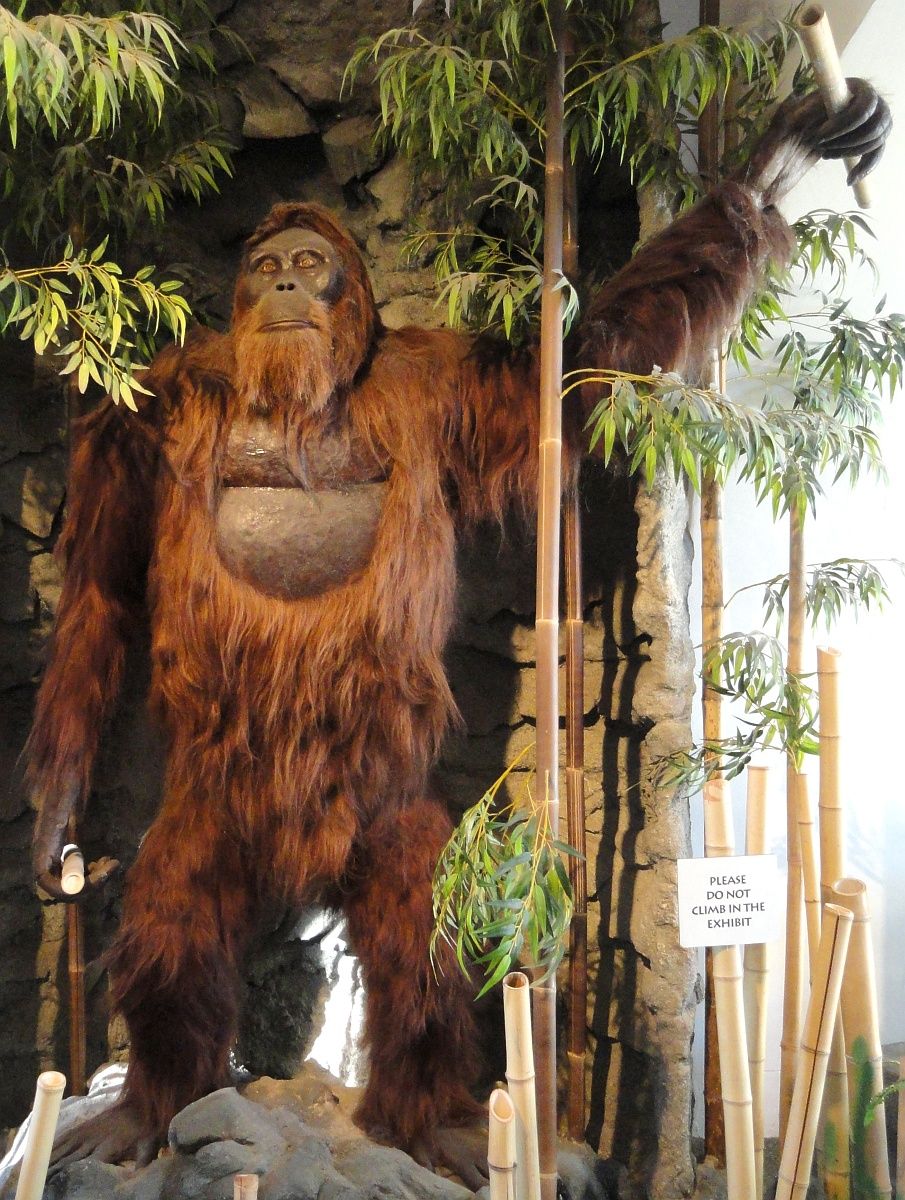 Rájöttek, mi okozta az őskori King Kong vesztét