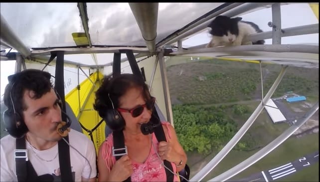 És akkor egyszer csak előkerül egy macska a kisrepülőn - videó
