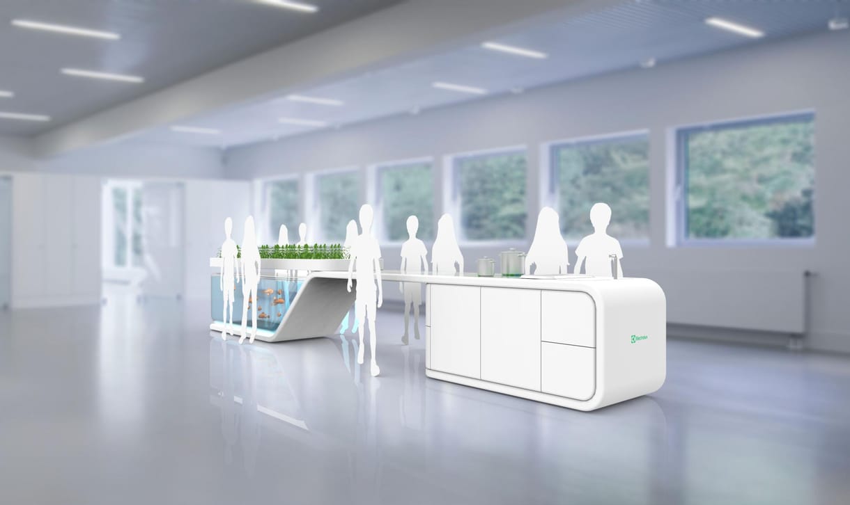 A 6 legjobb közé választott egy német-magyar egyetemistát az Electrolux