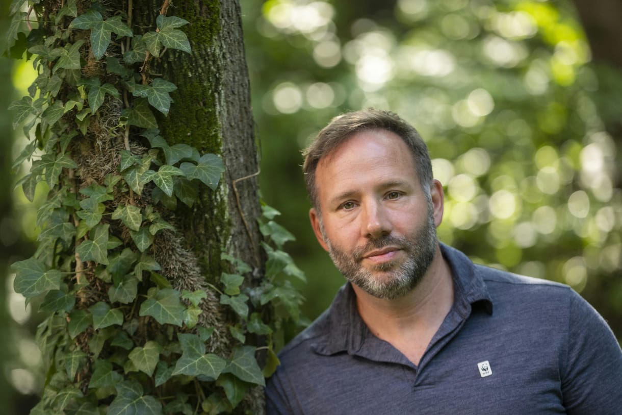 Gálhidy László, WWF: Magyarországon szinte mindenhol zajlik fakitermelés védett területeken 