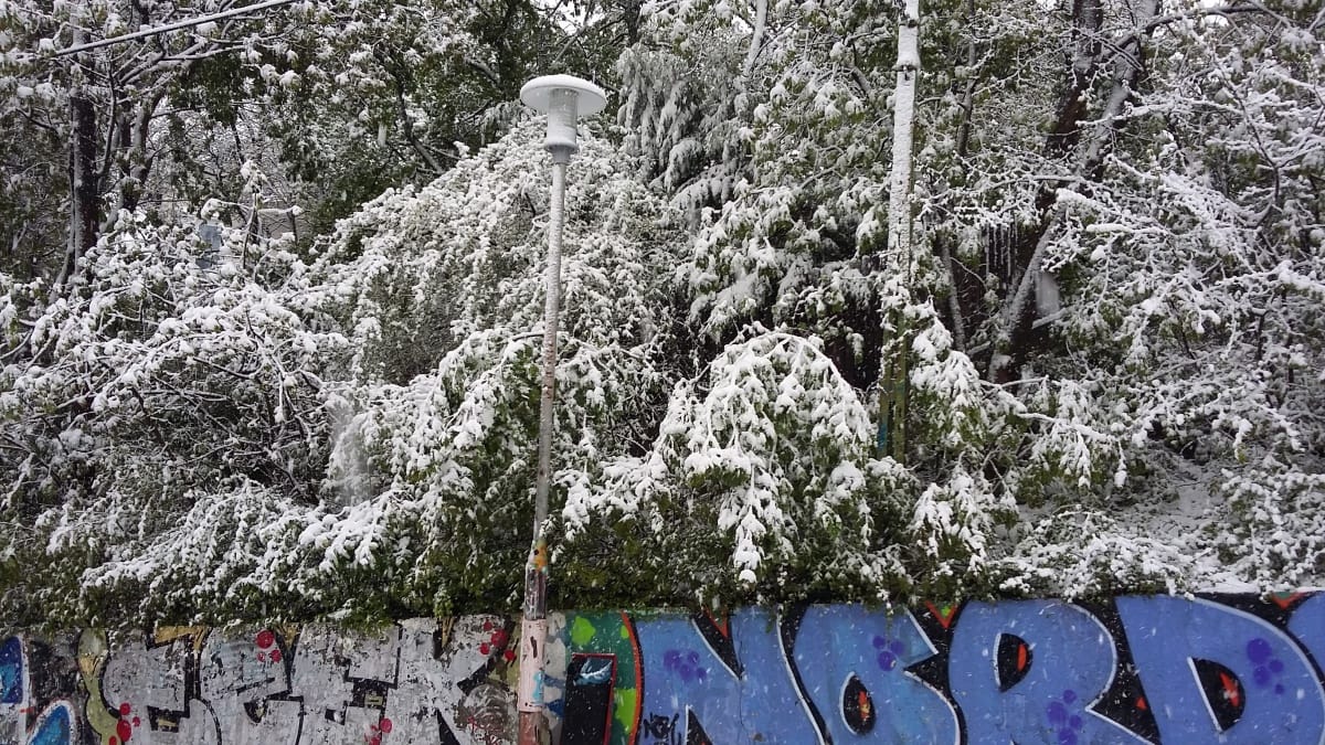 Helló, tél! - Így látják olvasóink az áprilisi havazást