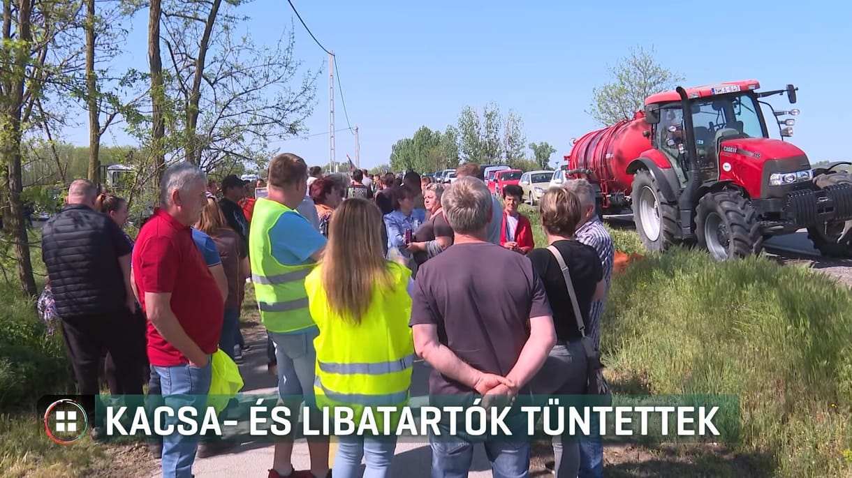 Több száz kacsa- és libatartó tüntetett, szerintük semmit nem ér a kormány intézkedése a madárinfluenza ellen