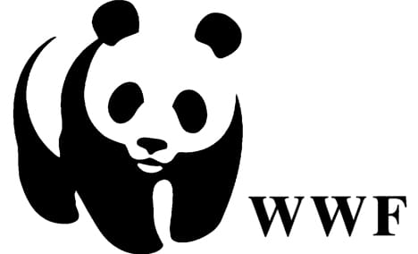 Egy darab brosúrával kalapozik a WWF