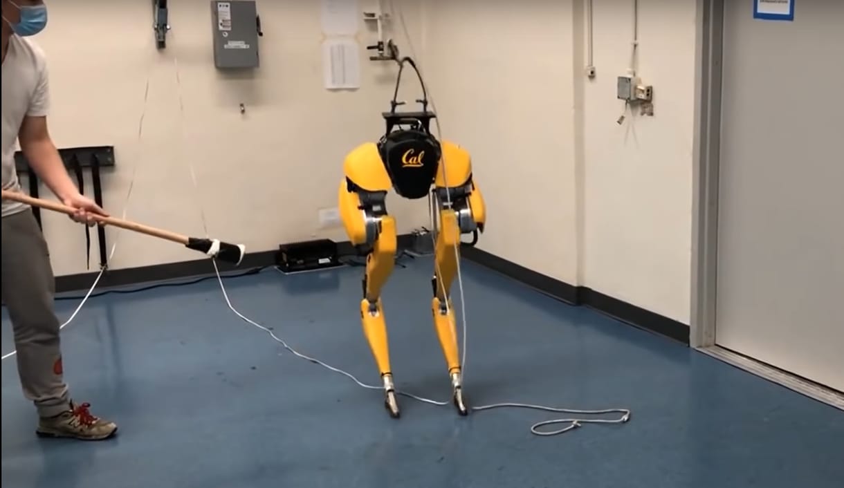 Állj félre, Boston Dynamics: elkészült a robot, ami önmagát tanította meg járni – videó