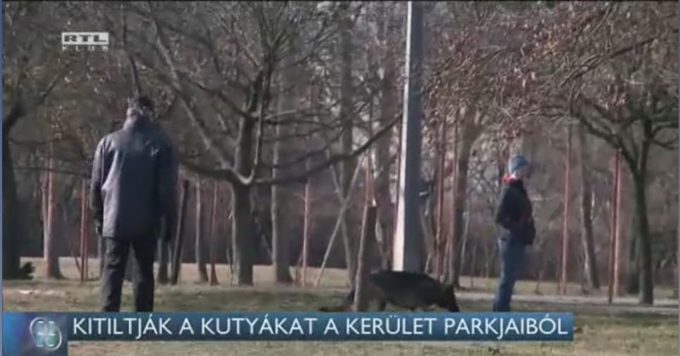 Kutya világ jön a kutyasétáltatókra júniustól Kőbányán