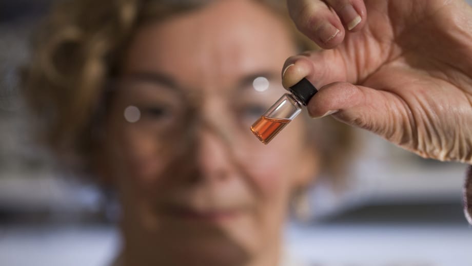 Előkerült 1,1 milliárd éves lelet, mellyel megfejthetjük az élet kialakulásának rejtélyét