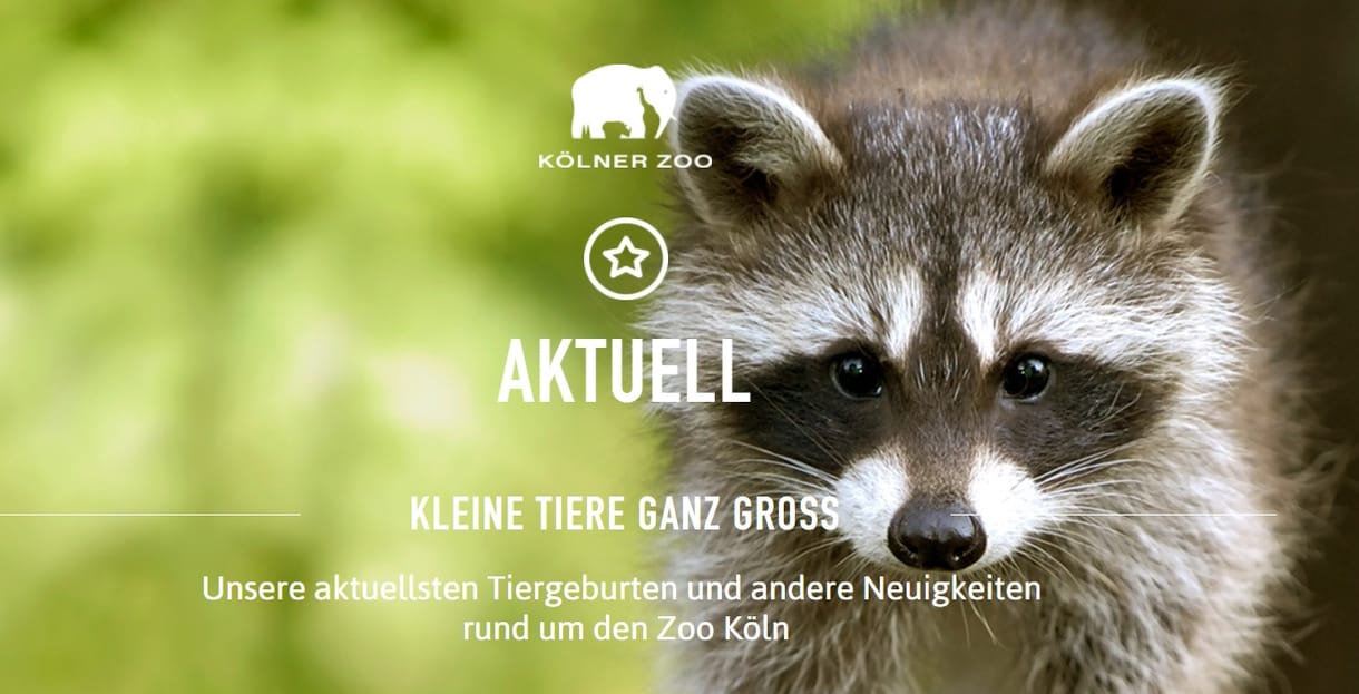 Milliárdos végrendelet: az állatkertigazgató azt hitte, vicc