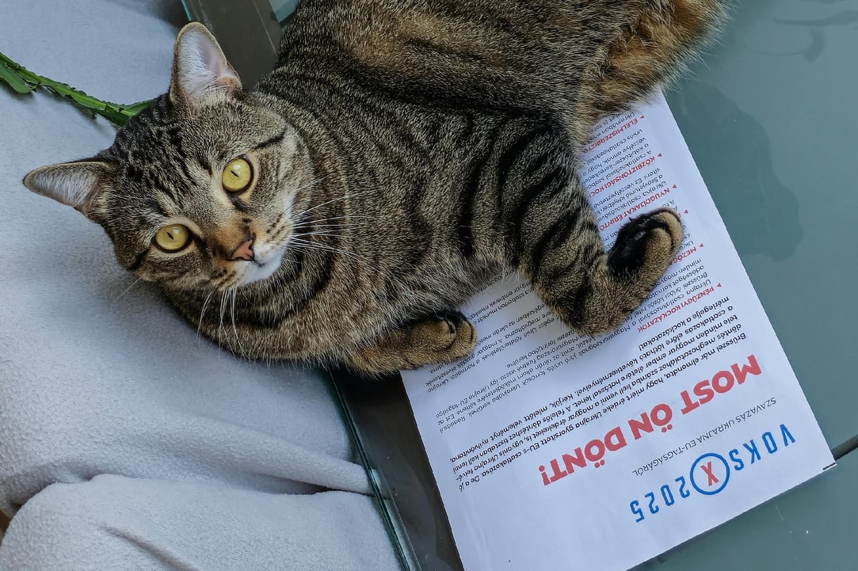 A Voks2025 eredményéről kérdeztük a kormányt, amire azt válaszolták, hogy nem feltételezik az emberekről, hogy csalni akarnának