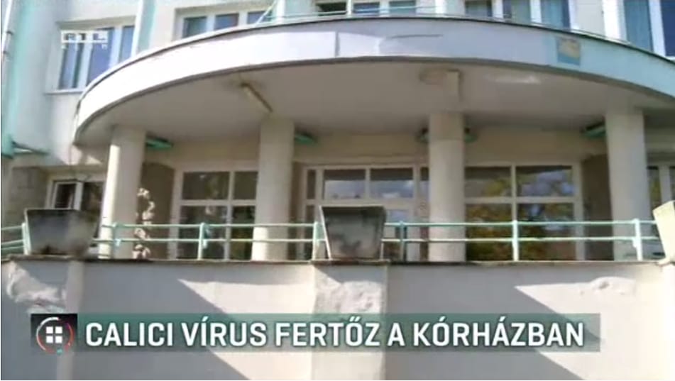Újra megjelent a vírus, Calici-járvány van az egyik miskolci kórházban