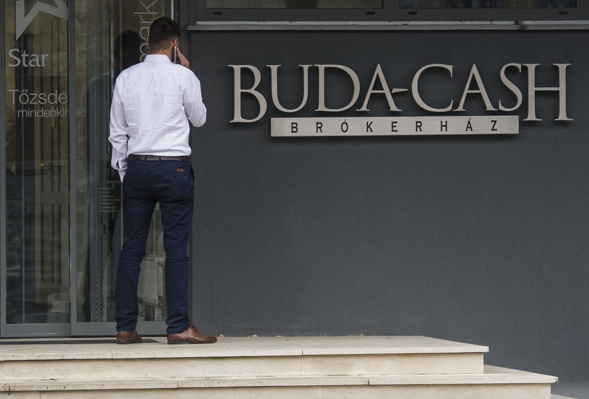 Kormányzati szakértővel van közös cége a Buda-Cash vezérének