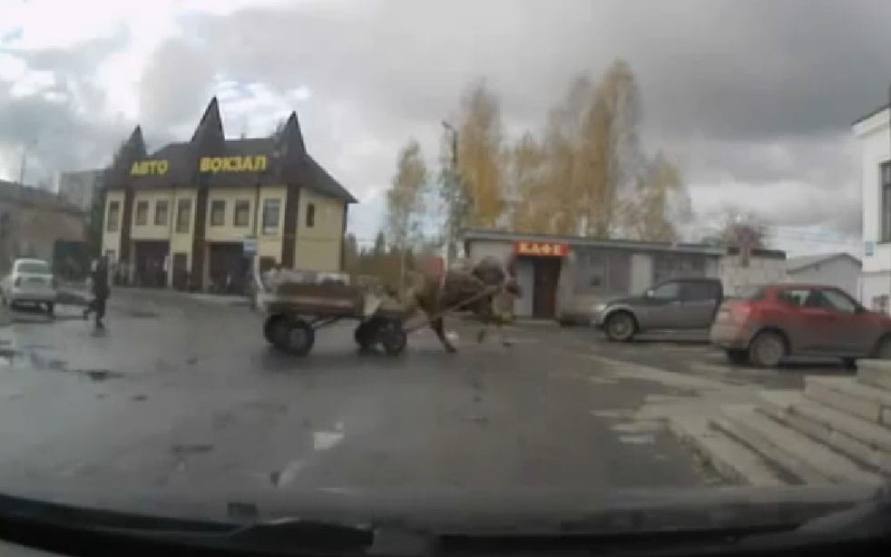 Parkoló terepjárónak rontott egy megvadult ló Oroszországban - videó