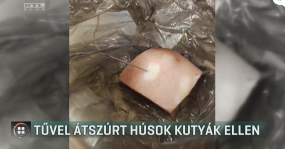 Tűkkel átszúrt húst szórtak ki a kutyáknak a Bikás parknál