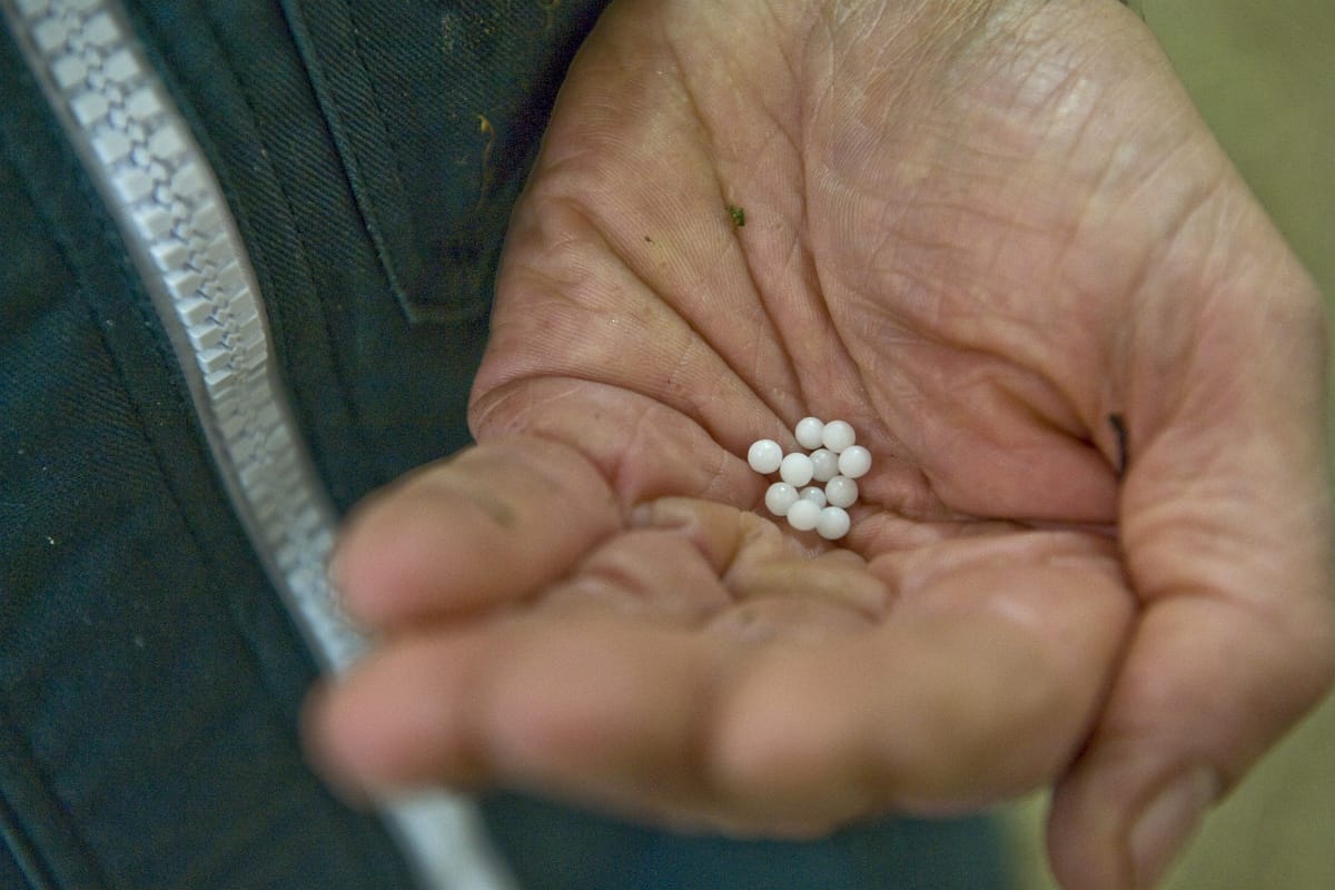 Így igyekszik kiszorítani a kormány a homeopátiás szereket