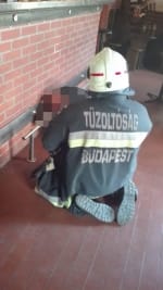 Tűzoltókat kellett hívni a nőhöz, akinek beszorult a feje