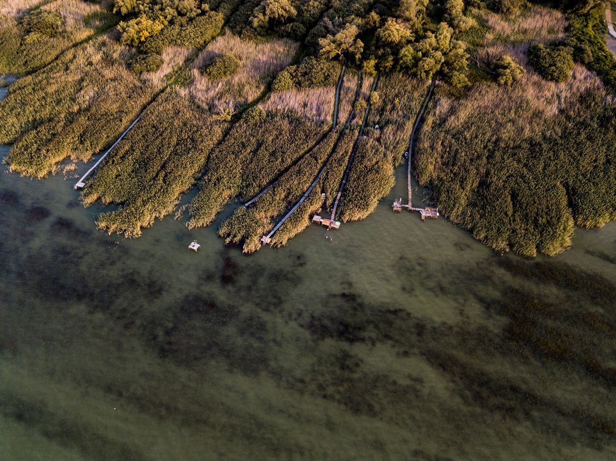 Nincs kockázatuk a Balatonban kimutatott gyógyszerhatóanyag-maradványoknak