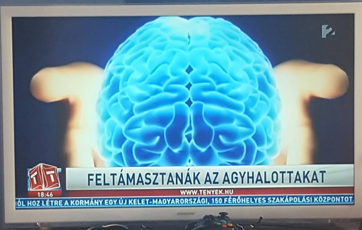 TGM: Magyarországi közélet
