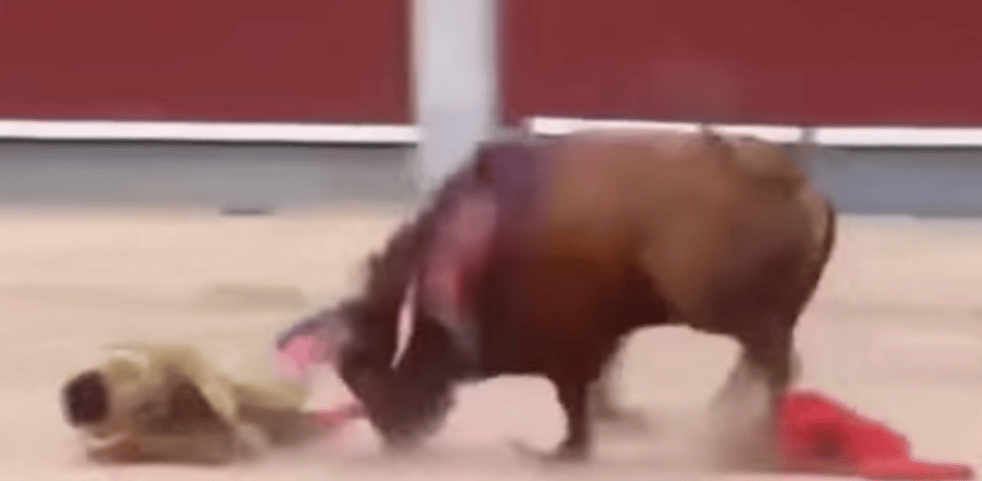 Brutálisan felöklelt egy bika egy spanyol matadort