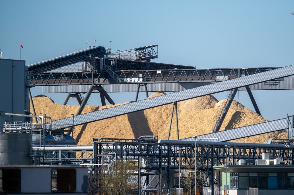 Döntött a holland parlament: kivezetik a biomasszát