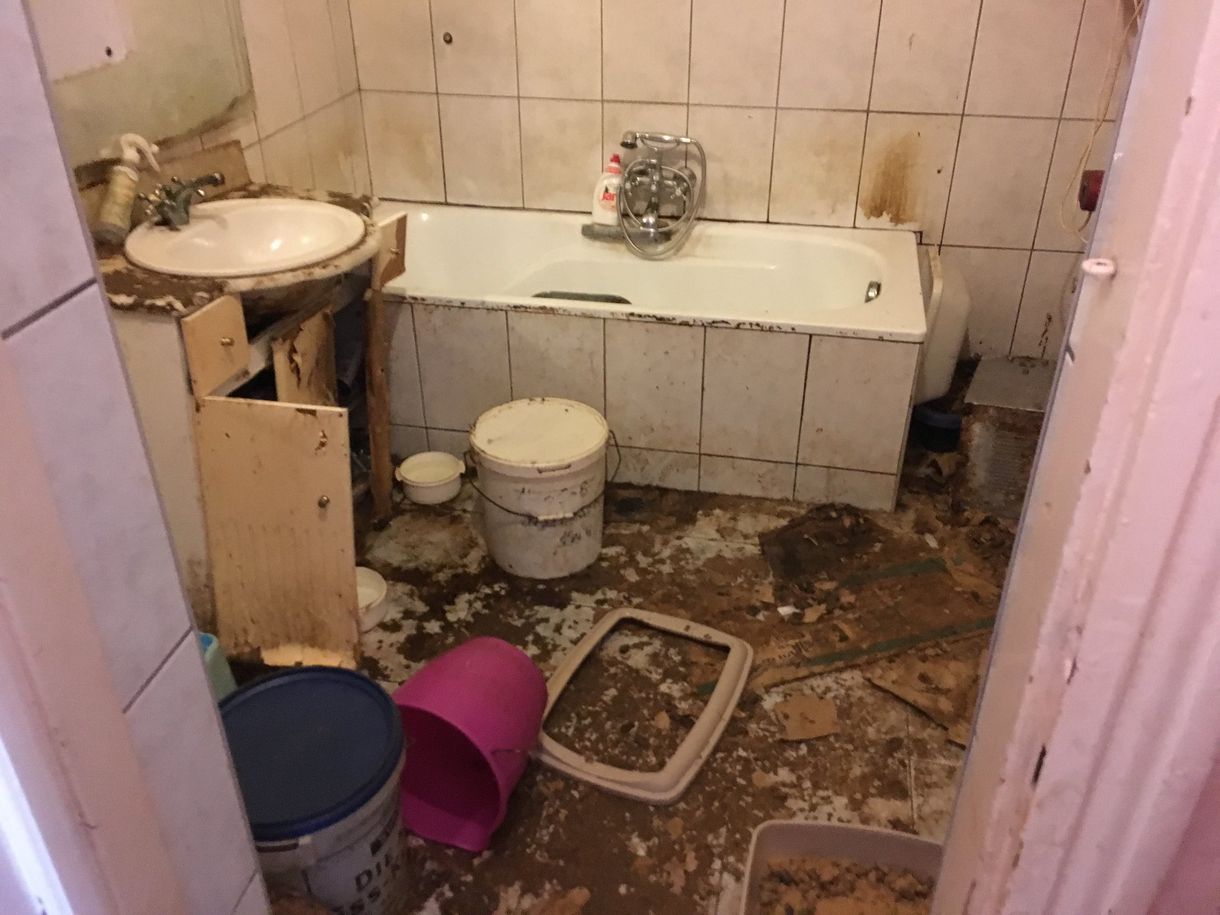 Ismét árad a bűz annak a nőnek az otthonából, akitől négy éve 107 macskát és egy kutyát koboztak el